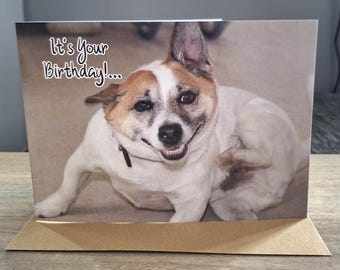 Jack Russell Terrier Birthday Greeting Card