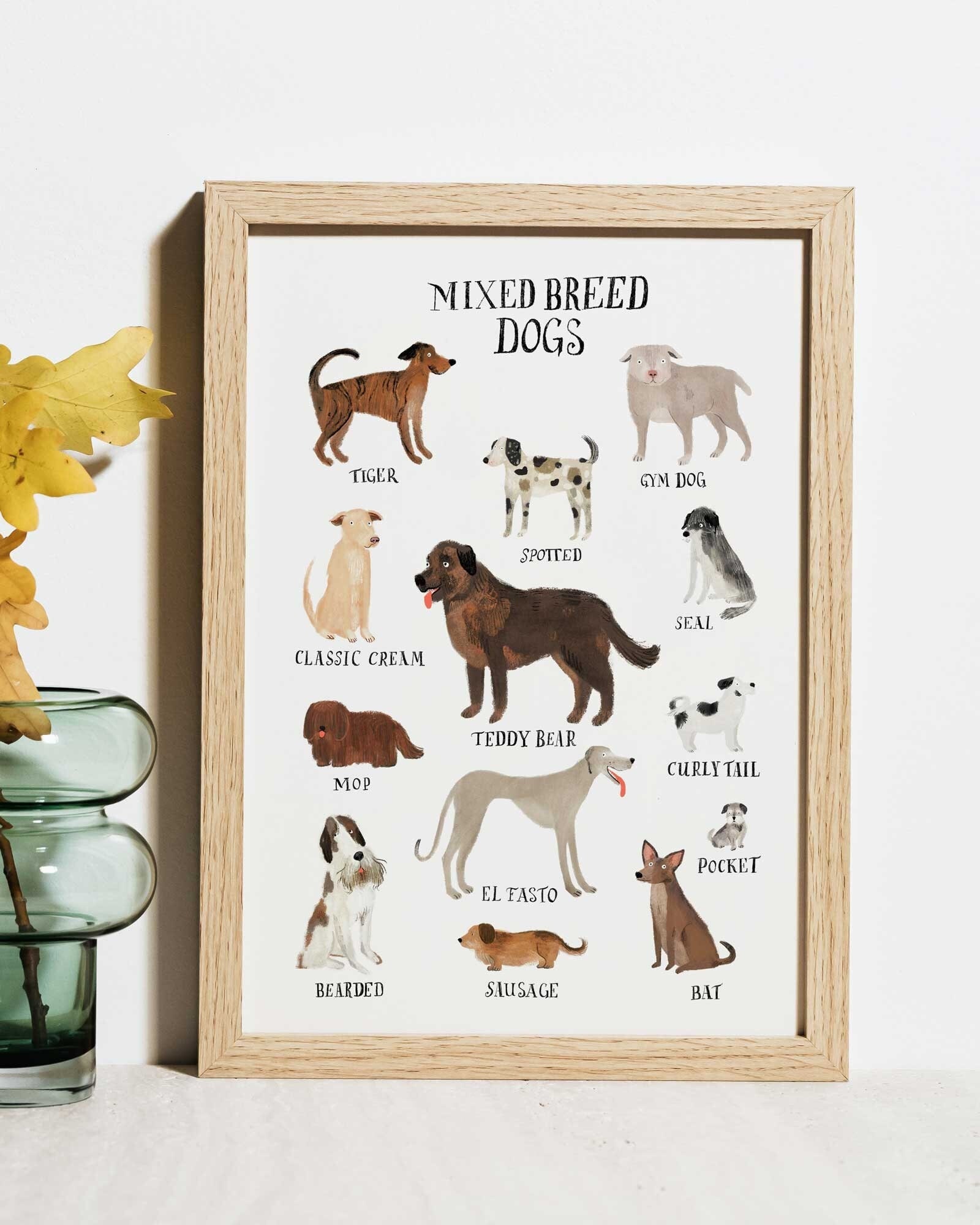 Cute Mixed Breed Dog