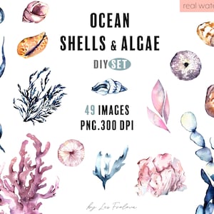Imágenes prediseñadas de acuarela de algas oceánicas. Imágenes prediseñadas del océano PNG. Impresión de vivero oceánico. Descarga digital de baby shower