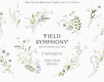Collezione di mazzi di fiori selvatici dell'acquerello, composizione floreale, prato di fiori di campo PNG Download digitale
