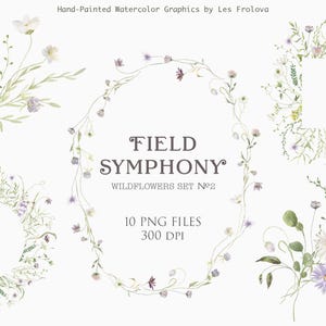 Watercolor Wild Flowers Frames, Floral Bouquets, Wildflowers Summer Wreaths PNG Digital Download