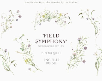 Mazzi di fiori selvatici dell'acquerello, composizione floreale estiva, prato di fiori di campo PNG Download digitale