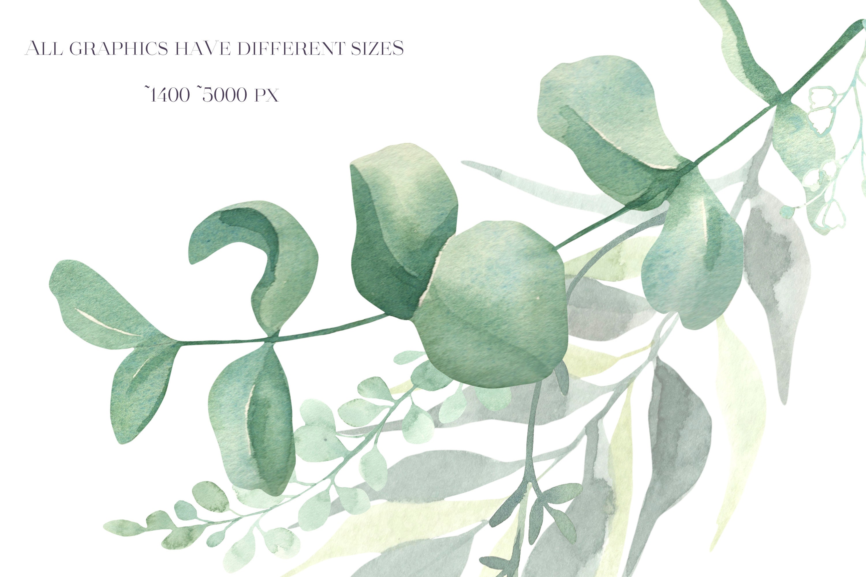Watercolor Eucalyptus Bouquet, Greenery Frame, Leaves Wreath Clipart ...