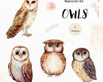 Aquarel uilen clipart, individuele uil PNG-bestanden, tribale graphics, aquarel uil illustraties