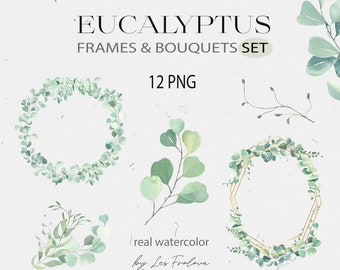 Cornice di eucalipto acquerello, bouquet, ghirlanda. Foglie verdi Mazzi Clipart. Eucalipto Invito a nozze Modello PNG Download digitale