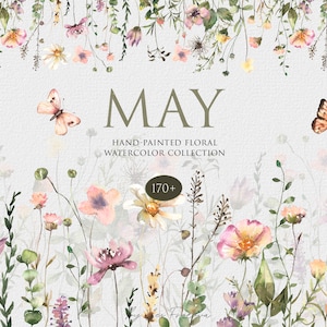 BIG Watercolor Wildflower Cliparts, Floral Frames, Wreaths, Patterns, Seamless Borders, Wildflowers PNG Digital Download