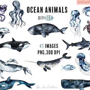 Ocean Animals Watercolor clipart. Ocean clipart PNG: Whale, octopus, Turtle, Shark, Fish. Ocean Nursery Print. Baby Shower Digital Download