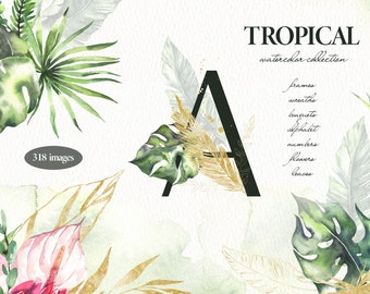 GRAN Colección de imágenes prediseñadas tropicales de acuarela. Marcos tropicales, coronas, ramos. Colección Ramo Floral Tropical PNG.