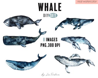Acuarela Océano Azul Ballena Animales Clipart Png Descarga Digital