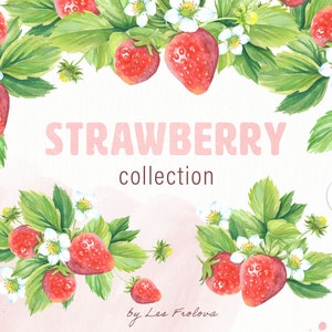 Watercolor Strawberry Collection, Strawberry Frames, Wreaths, Bouquets Clipart Png