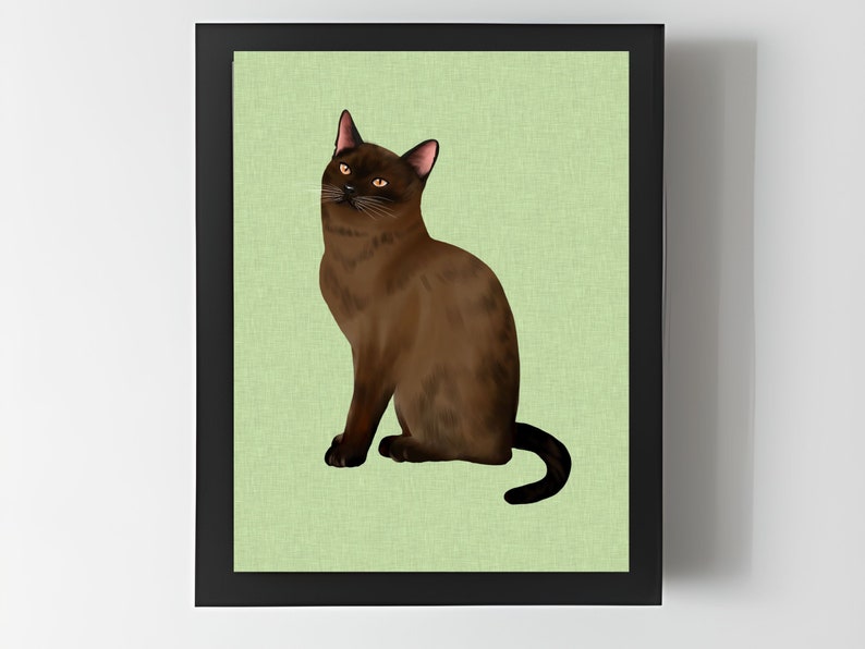 Burmese Cat print, Cute Burmese Cat wall art, Cat lovers gift, Colourful linen look animal wall art, Burmese picture. image 3