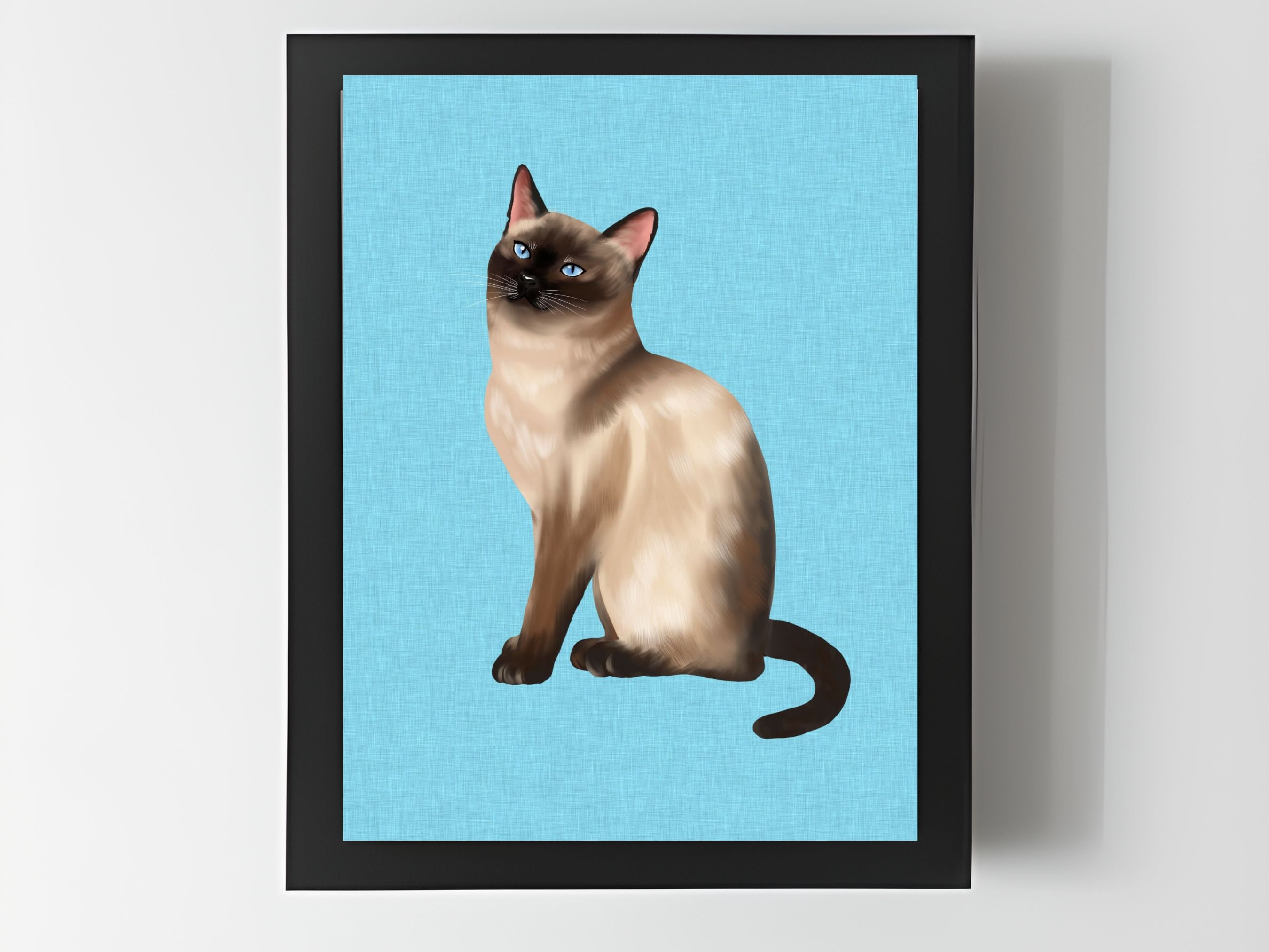 Blue Tonkinese Cat
