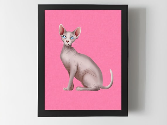 Sphynx cat sale lover gifts