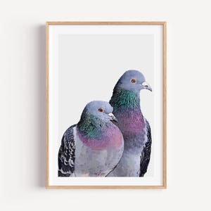 Pigeon Wall Art Print, Pigeon Home Decor, Pigeon Bird Gallery Wall, Pigeon Lover Gift, Gift under 20, Bird Lover Gift