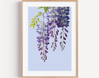 Blue Wisteria Flower Art Print, Pretty Bathroom Prints, Blue Bedroom Pictures, Botanical Art Illustration