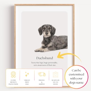 May include: A framed wall art print featuring a wire-haired dachshund dog. Below the dog, the text reads: Dachshund. Teeny tiny legs, huge personality, zero awareness of their size. The print is housed in a light wood frame with a white background.