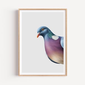 Pigeon Wall Art Print, Pigeon Home Decor, Pigeon Bird Gallery Wall, Pigeon Lover Gift