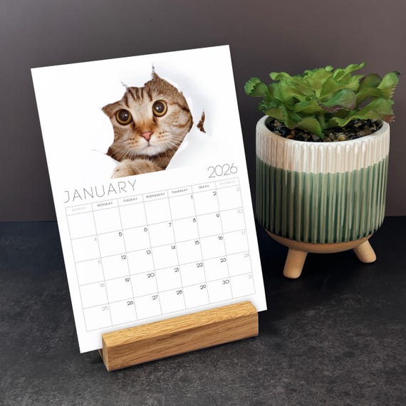 Grupo Erik Wall Calendar 2026 - Simons Cat Calendar 2026 | Square 30 X 30 Cm - 12 X 12 Inches Wall Planner, Family Planner Month To View | Gifts For Cat Lovers, Gifts For Friends