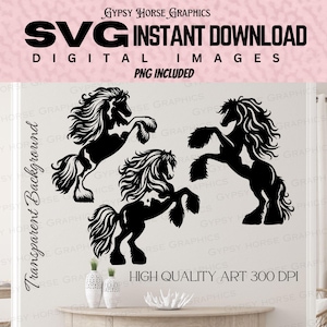 Hermoso caballo gitano pinto emplumado encabritado Gráfico / Archivo SVG PNG / Draft Irish Cob / Descarga instantánea de vectores para artesanos