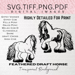 Arte digital original SVG de caballos de tiro emplumados / Representación de múltiples razas / Archivos de impresión de alta calidad Gypsy Vanner Graphics Clipart