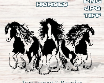 Three Running Gypsy Vanner Horses Digital Prints svg png tiff | Equestrian Clipart for Cricut, Laser Engraving, DTF, Sublimation, Stickers