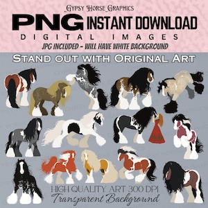 14 file clipart PNG e JPG di bellissimi cavalli digitali unici / Cavallo grazioso con piume multicolori / Diverse pose e motivi di pony
