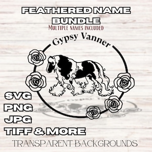 Image numérique SVG cheval à plumes chevaux de trait à plumes poney tzigane irlandais Vanner Cob PNG Télécharger fichier Cricut Silhouette Juliette