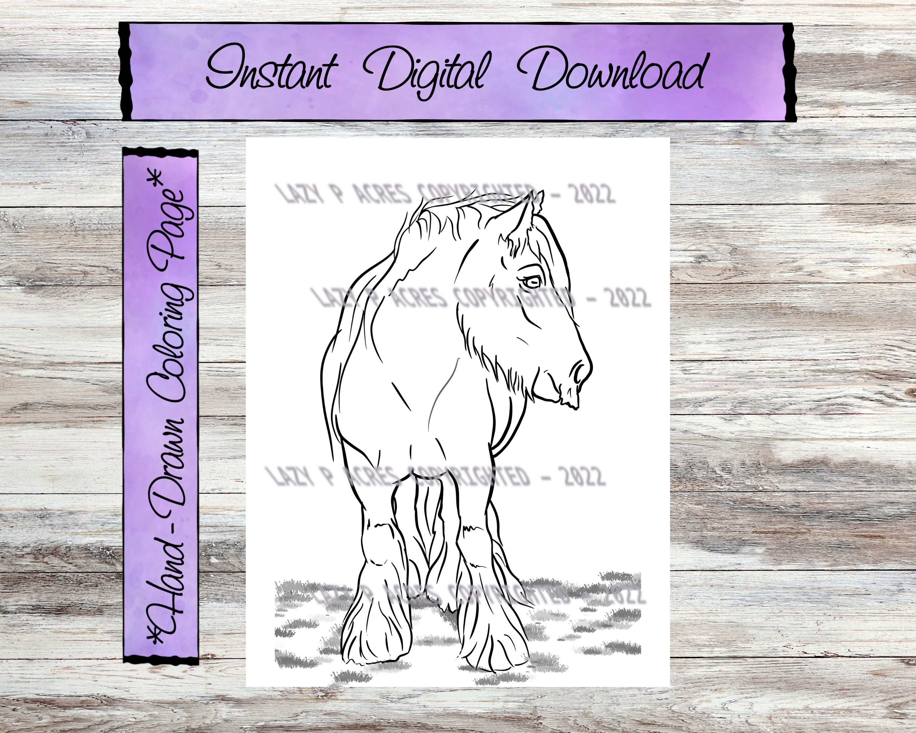 Cute Horse Digital Coloring Pages Gypsy Vanner Draft Horse Stress