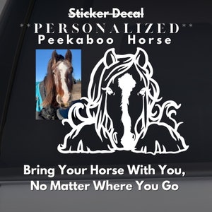 Calcomanía de pegatina de vinilo de cara personalizada / Marcas faciales originales Nombre refranes / Shire Clydesdale Vanner Fell Welsh Dales Pony Feather Draft Horse