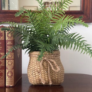 May include: A green fern plant in a woven basket with a jute bow. The basket is light brown and sits on a dark brown wooden surface. Two antique books are visible on the left.
