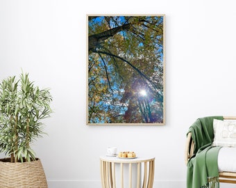 Nature Home Decor | Printable Art | Digital Art | Wall Decor | Autumn Wall Decor| Office Decor