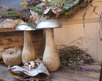 Raramente ! Due bellissimi FUNGHI per la DECORAZIONE autunnale