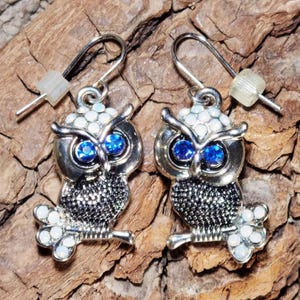 OWL Spirit COMPANION, Psychic Gift, Intuition Spirit Vessel, Creativity, Prediction Spirit, Clairvoyance, Medium Abilities