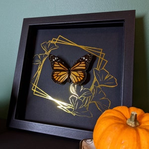 Monarch Butterfly Handmade Real Butterfly Framed Opera d&#39;arte