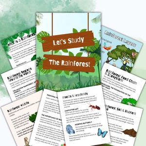 Peut inclure: Matériel pédagogique sur les forêts tropicales, avec le titre "Let's Study The Rainforest." L'image présente des illustrations colorées et du texte sur divers sujets, tels que les couches de la forêt tropicale, les chaînes alimentaires et la faune.
