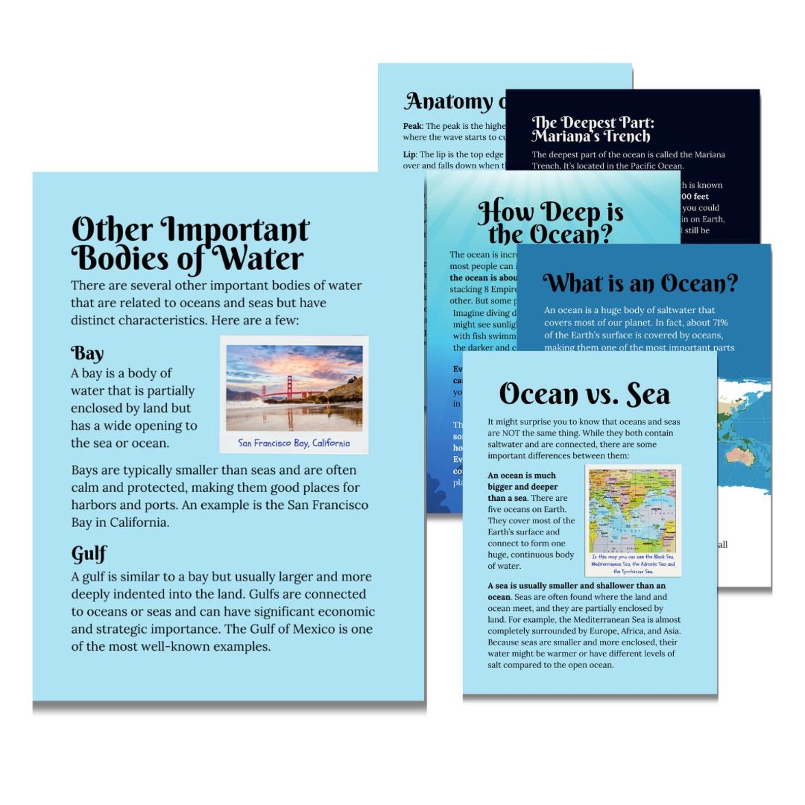 The Ocean Homeschool Study Unit | Fall Digital Download Curriculum - Etsy