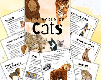 Unidad de estudio sobre animales de educación en casa: Gatos / Plan de estudios de descarga digital