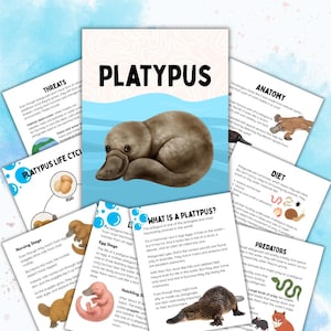 May include: Educational poster about the platypus, featuring illustrations and text. The central image is a detailed drawing of a platypus. Surrounding it are informational sections on anatomy, diet, and life cycle.