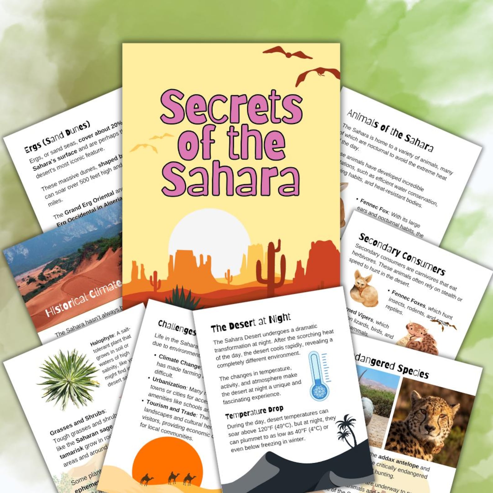 Secrets of the Sahara Desert | Homeschool Study Unit | Science Digital ...