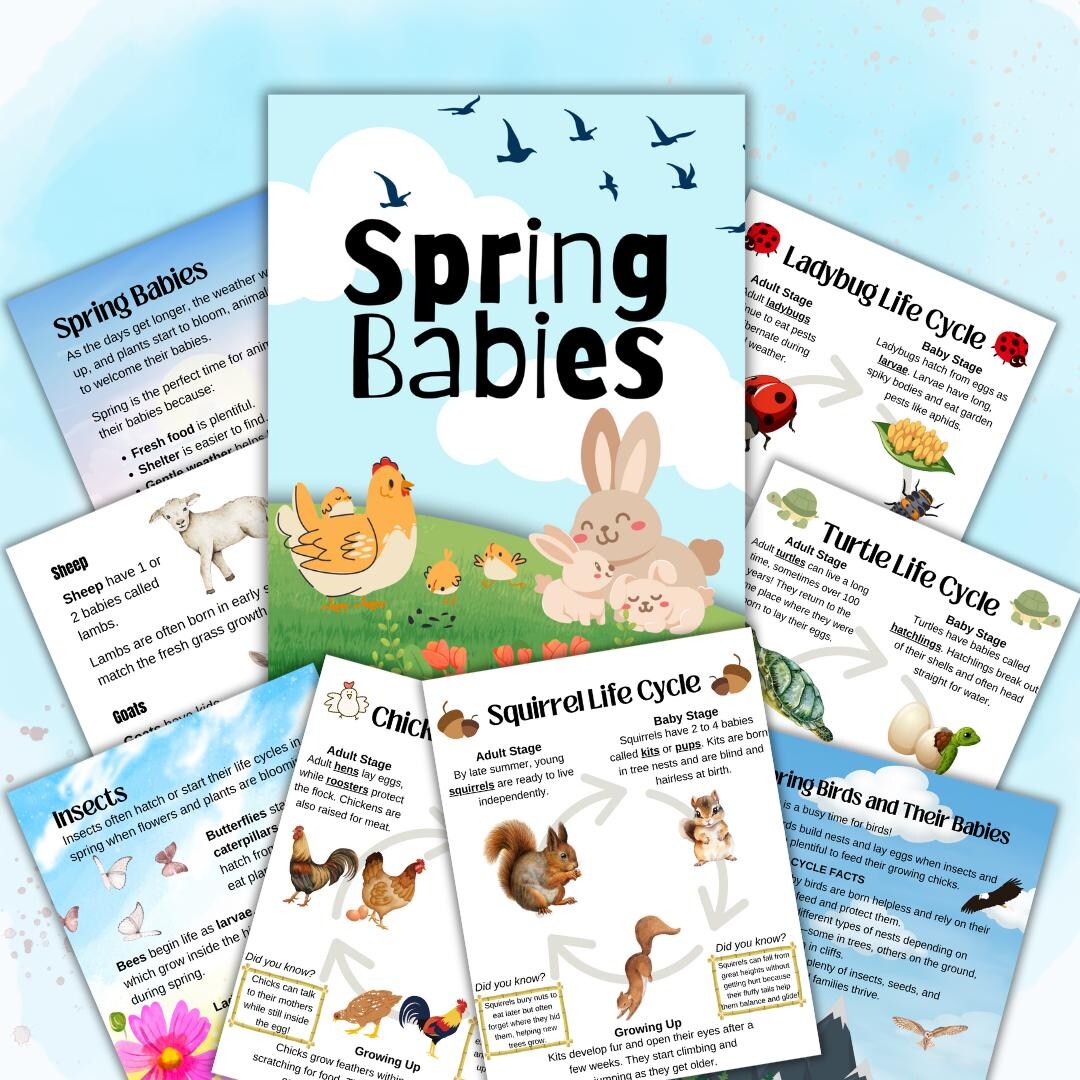 Spring Babies Unit Study | Baby Animals Life Cycles Printable | Spring ...