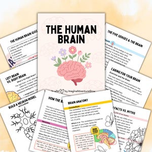 May include: Educational set featuring a pink brain illustration with flowers, titled "The Human Brain." Includes quiz, anatomy, and facts cards. Designed for learning about the brain and its functions. The set is designed to help children learn about the brain.