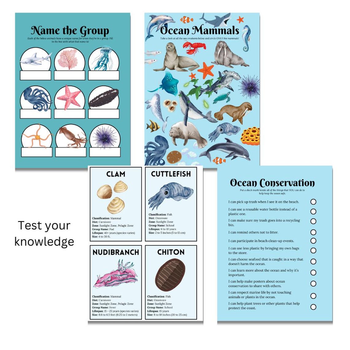 The Ocean Homeschool Study Unit | Fall Digital Download Curriculum - Etsy