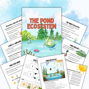 May include: A collection of educational worksheets titled The Pond Ecosystem, featuring illustrations of a frog on a lily pad, a pond, trees, and clouds. The pages include text about decomposers, living versus nonliving things, food chains, and a Pond Detective activity sheet with fill-in-the-blank sections.
