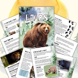 May include: Educational bear-themed cards with illustrations and text. The central card features a brown bear with the title "BEARS." Other cards detail bear anatomy, species, and life cycle, with text and images of bears and their habitats.