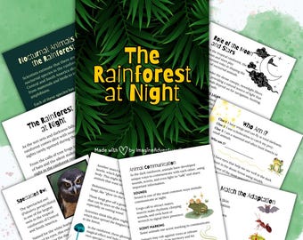 夜の熱帯雨林 ホームスクール学習ユニット | バイオームズ デジタルダウンロードカリキュラム