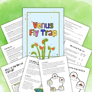 Mini Venus Fly Trap Plant Homeschool Study Unit | Digital Download Curriculum
