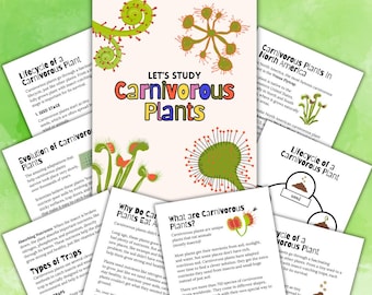 May include: A collection of educational cards titled Let's Study Carnivorous Plants, featuring illustrations of Venus flytraps and sundews, with text explaining plant lifecycles, evolution, nutrient absorption, and various types of insect traps.