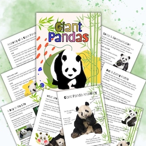 Giant Panda Homeschool Study Unit | Digital Download Curriculum