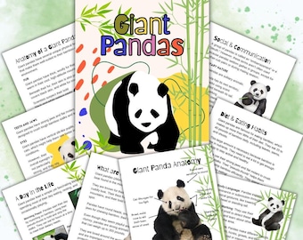 Unidad de estudio para la educación en casa del panda gigante / Plan de estudios en descarga digital
