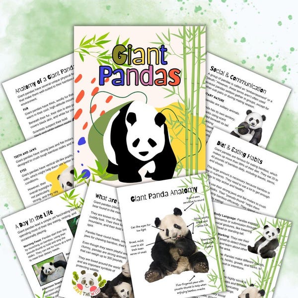 Giant Panda Homeschool Study Unit | Digital Download Curriculum